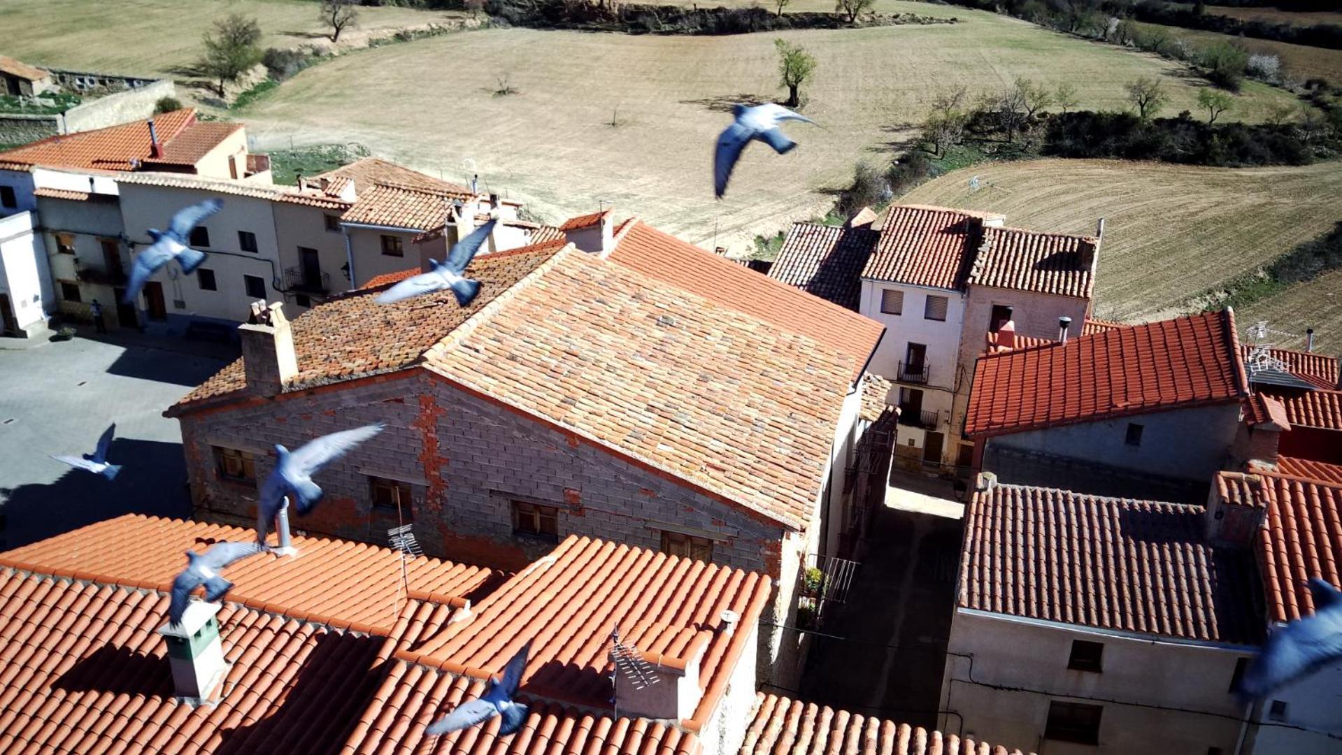 Rural Puebla De San Miguel Guest House Luaran gambar